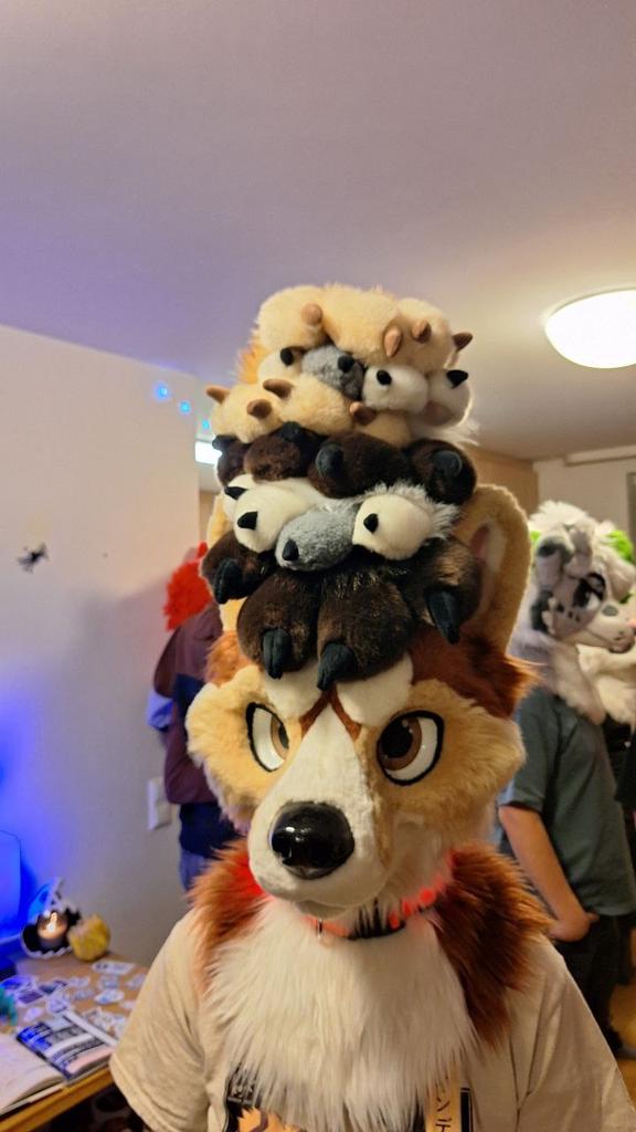 Snacks 🐾 tweet media