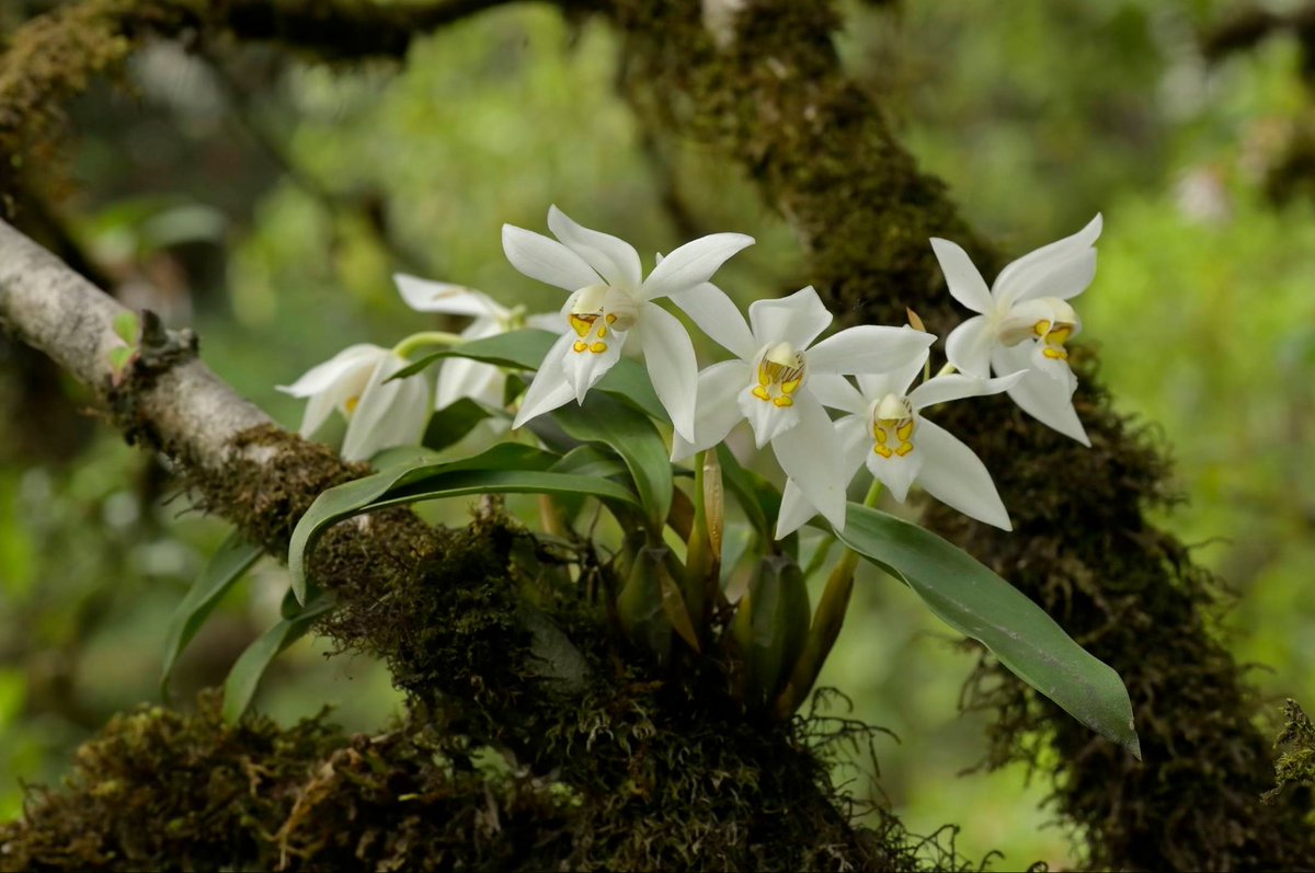 Naresh Swami tweet media