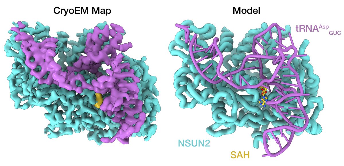 Leroy Elodie tweet media