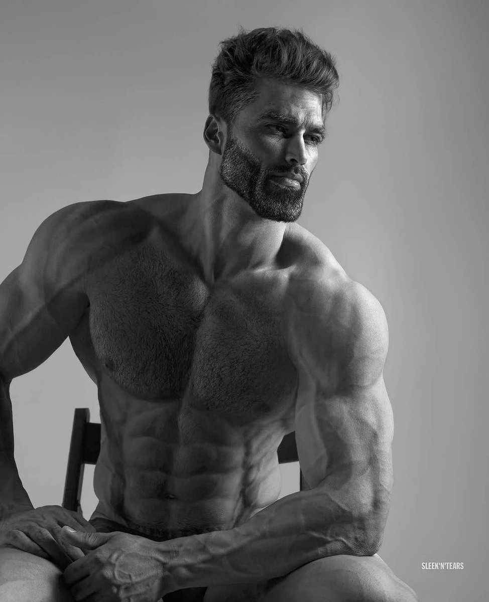 HowlingBlackbird tweet media