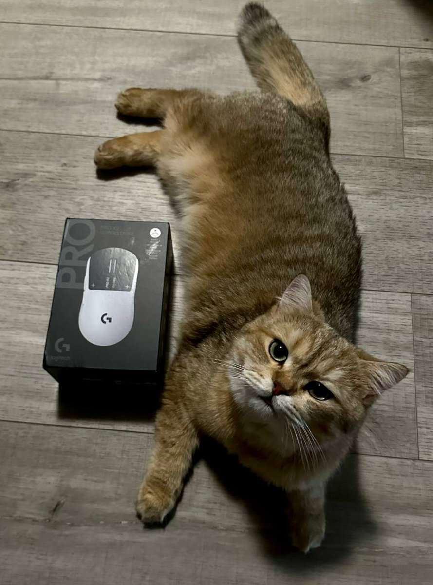 Hardecki tweet media