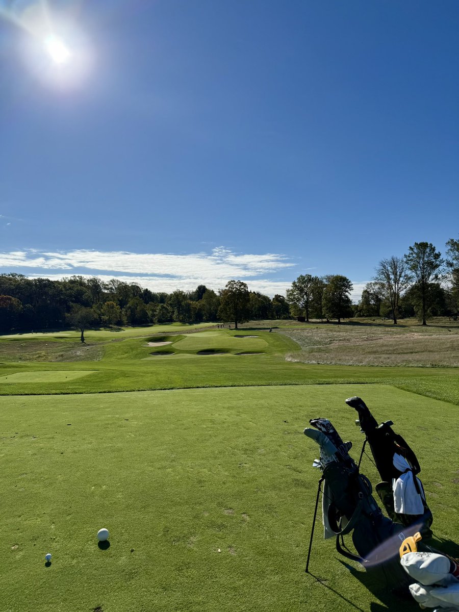 In Search of Fairways tweet media