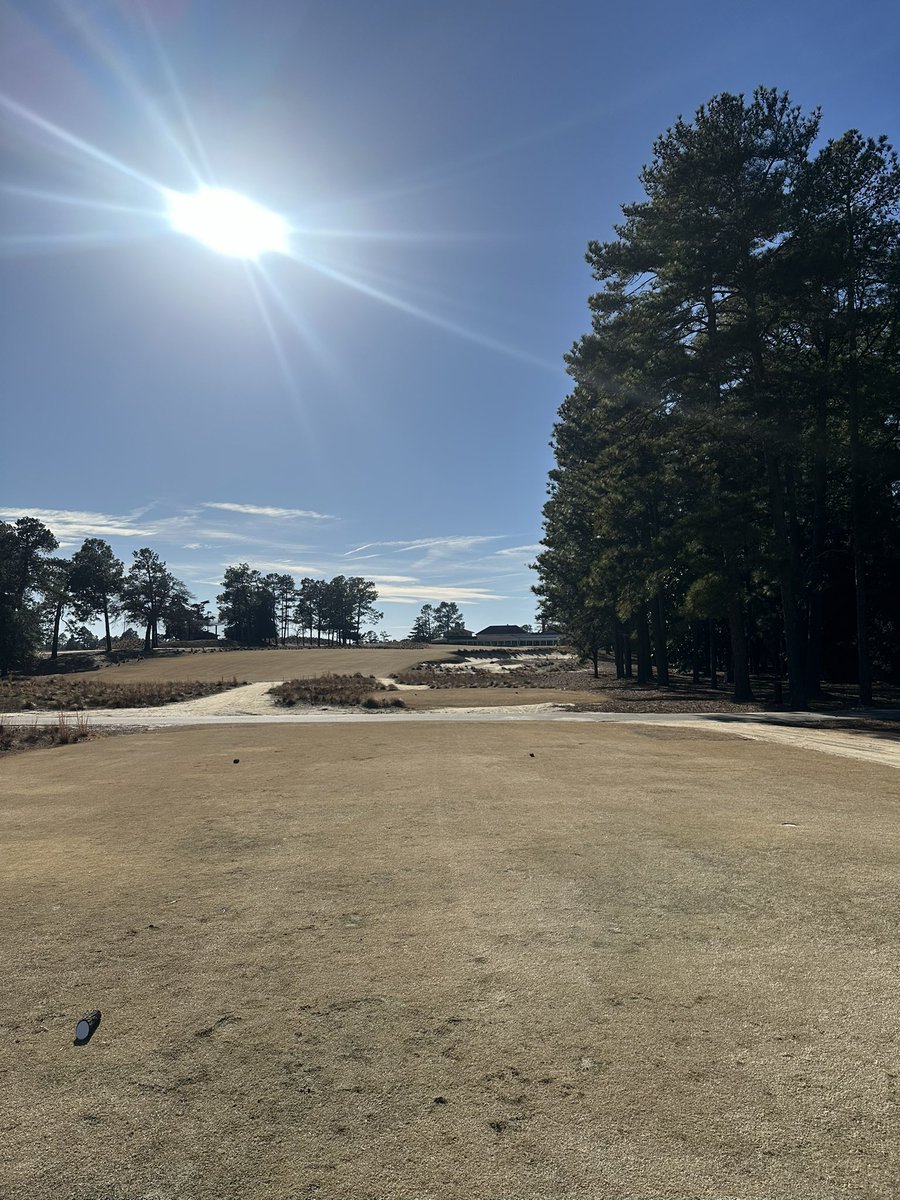 In Search of Fairways tweet media