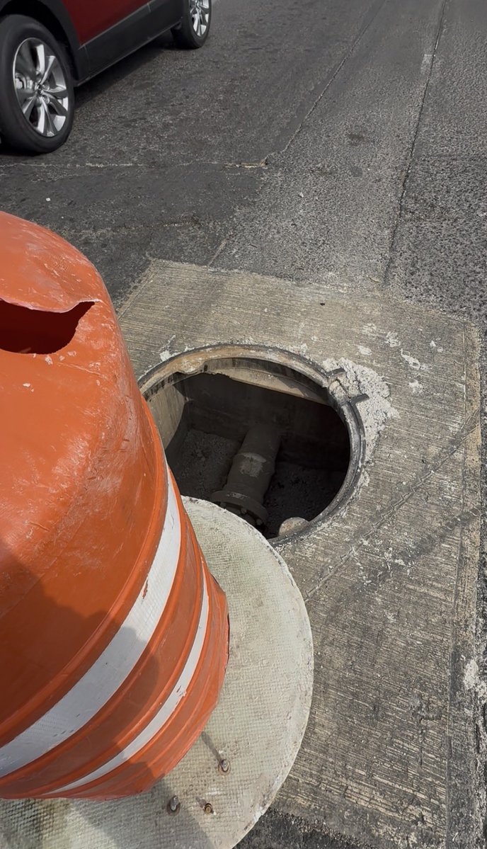 𝐀𝐯𝐬𝐞 𝐅𝐞𝐫𝐧𝐚𝐧𝐝𝐨 𝐅𝐥𝐨𝐫𝐞𝐬 tweet media