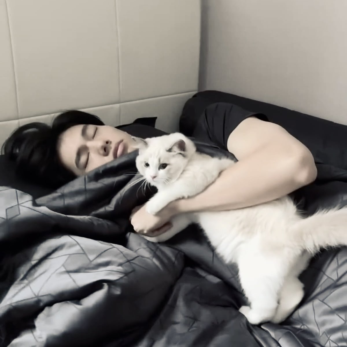 李, SEAN. tweet media