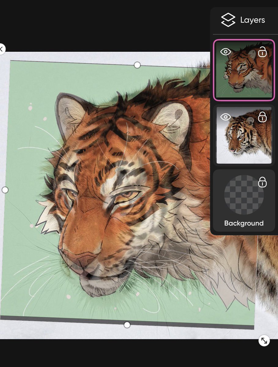 horsie tha durr tweet media