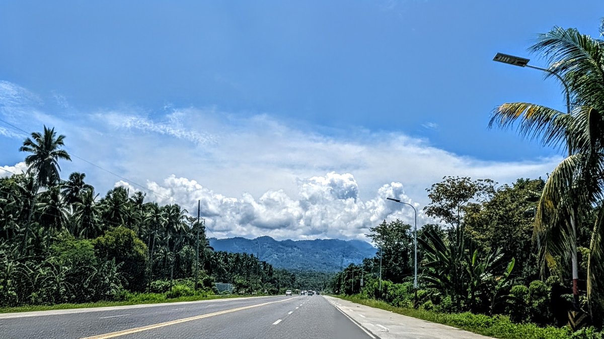 hothamburgsandwiches 🍔 tweet media