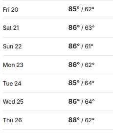 Loupey Gardener tweet media