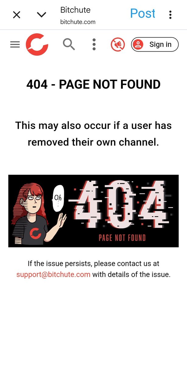 The Bridge Co. tweet media