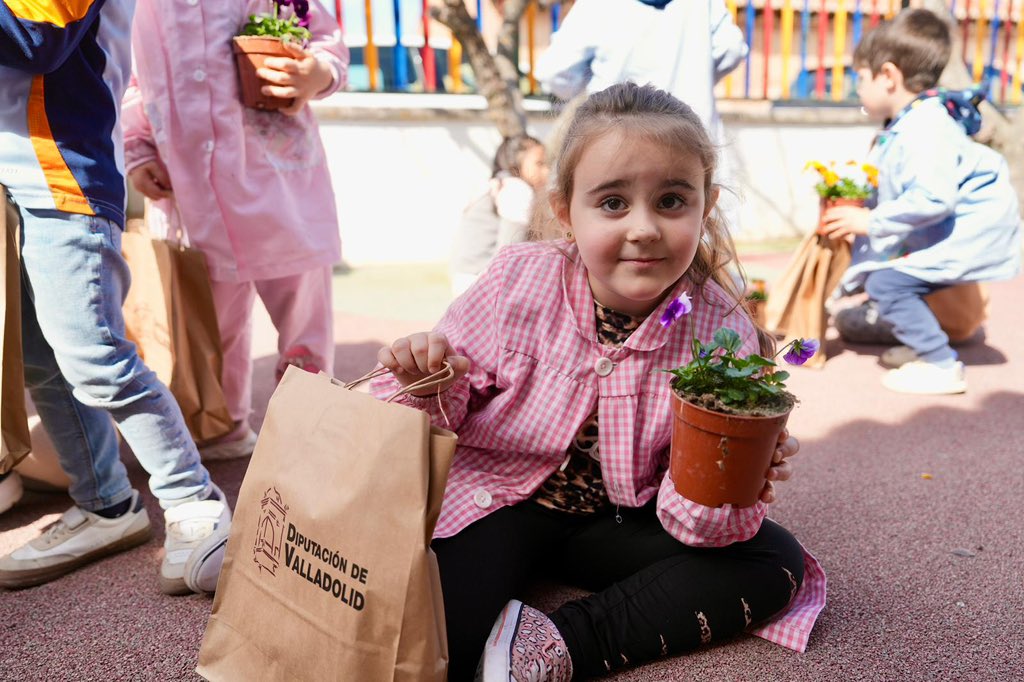 Diputación de Valladolid tweet media