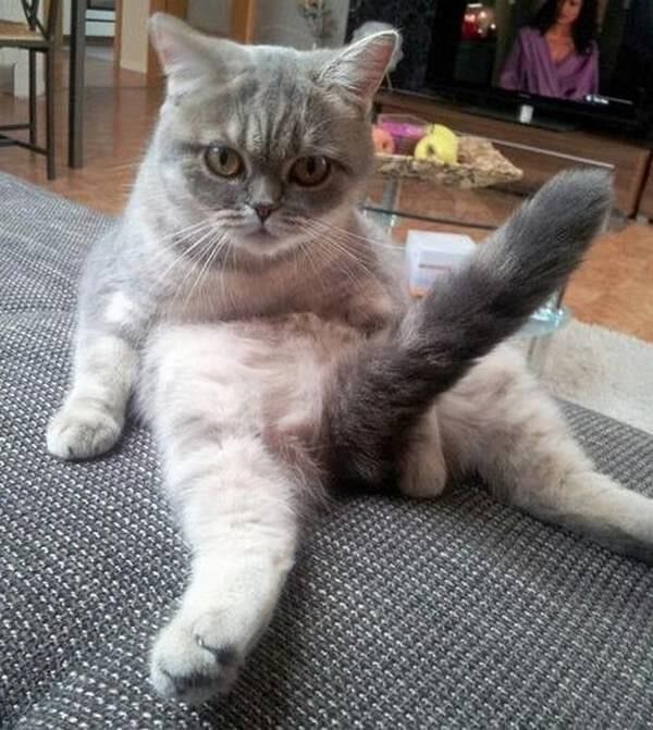 Pascal de Ruiter tweet media