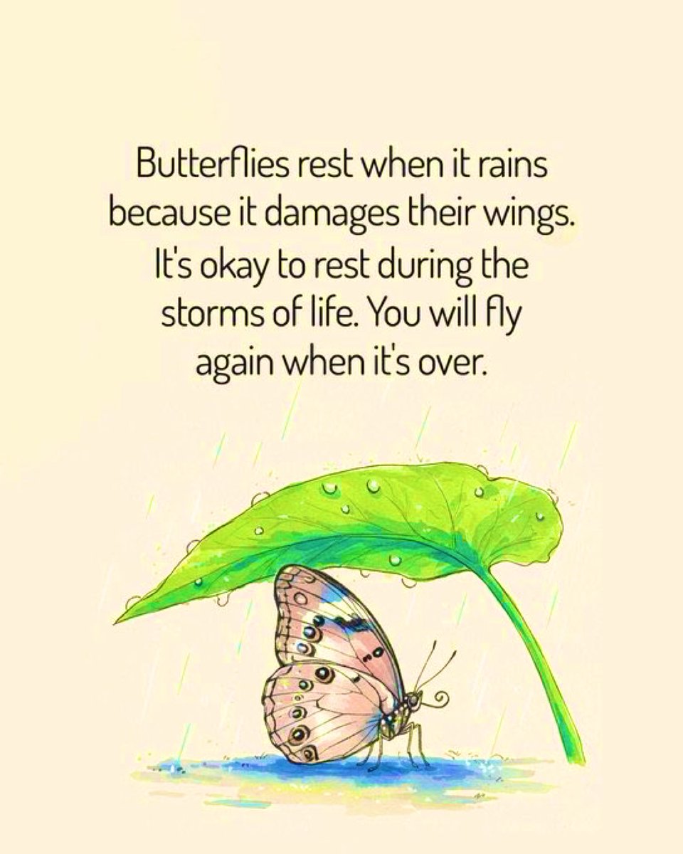 Poppy Mathobela tweet media