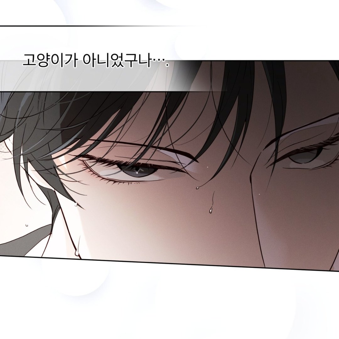 wawa 💤 tweet media