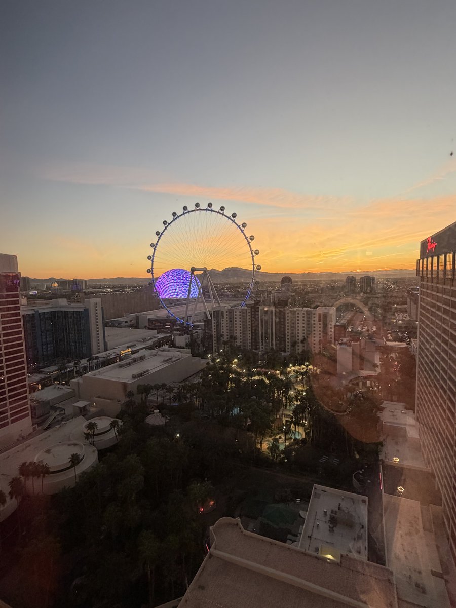 Sycamore Girl tweet media