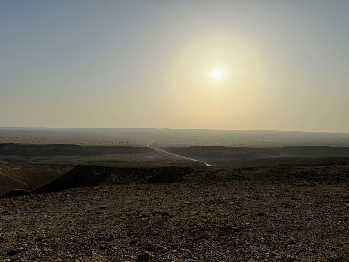 شهاب الشندودي tweet media