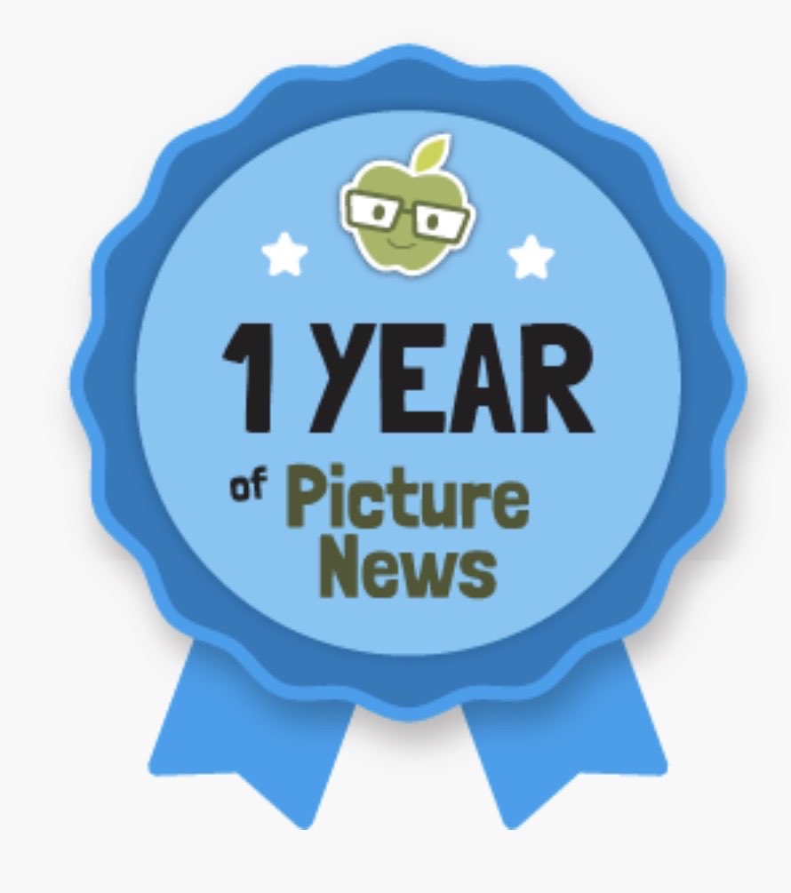 j_shelf's tweet photo. It’s our @HelpPicture 1 year anniversary! These have been our favourite themes this year! We love using Picture News 😊 https://t.co/9DUJIyPiXB