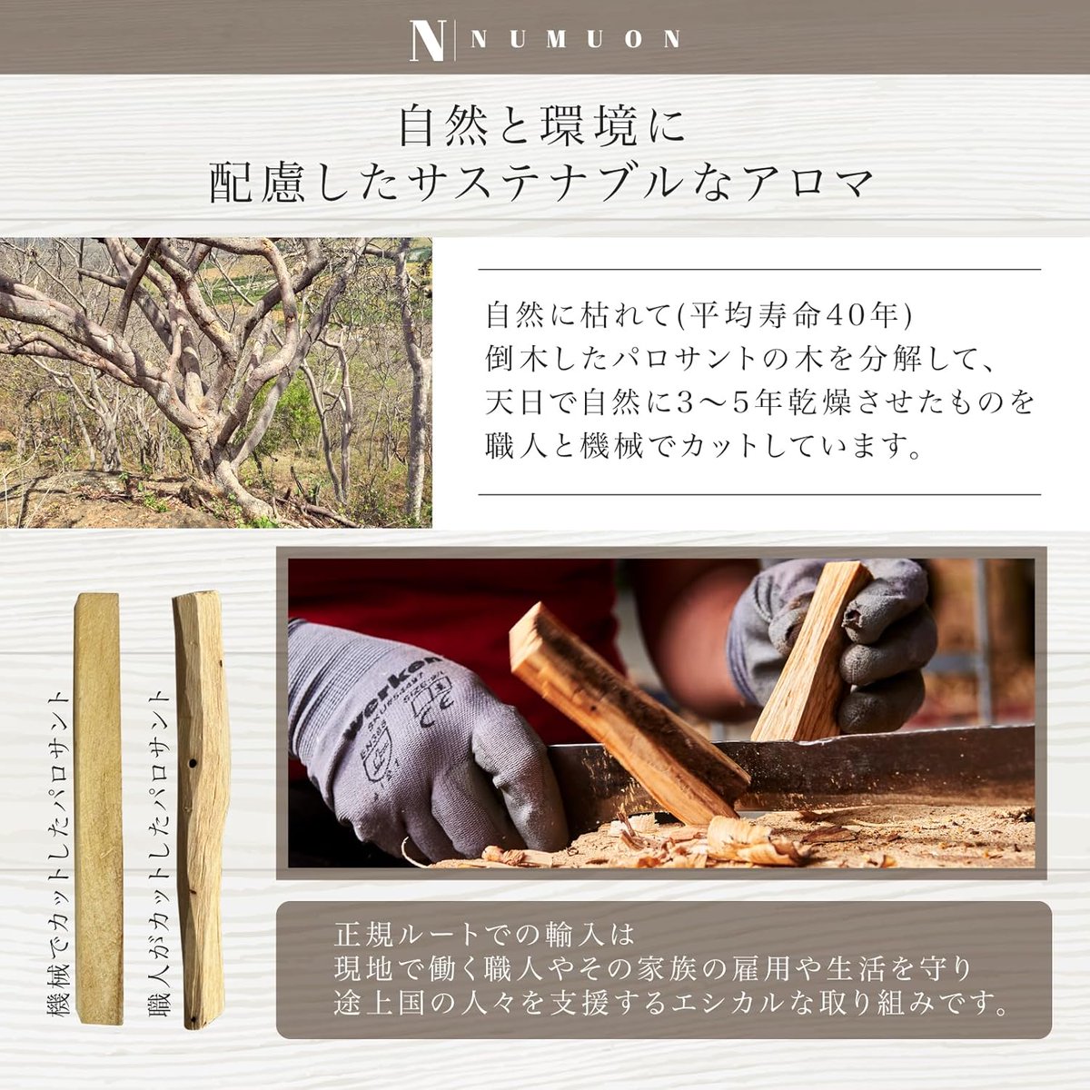 🏴‍☠️☠️⚔️ TECHNOuchi ⚔️☠️🏴‍☠️ tweet media