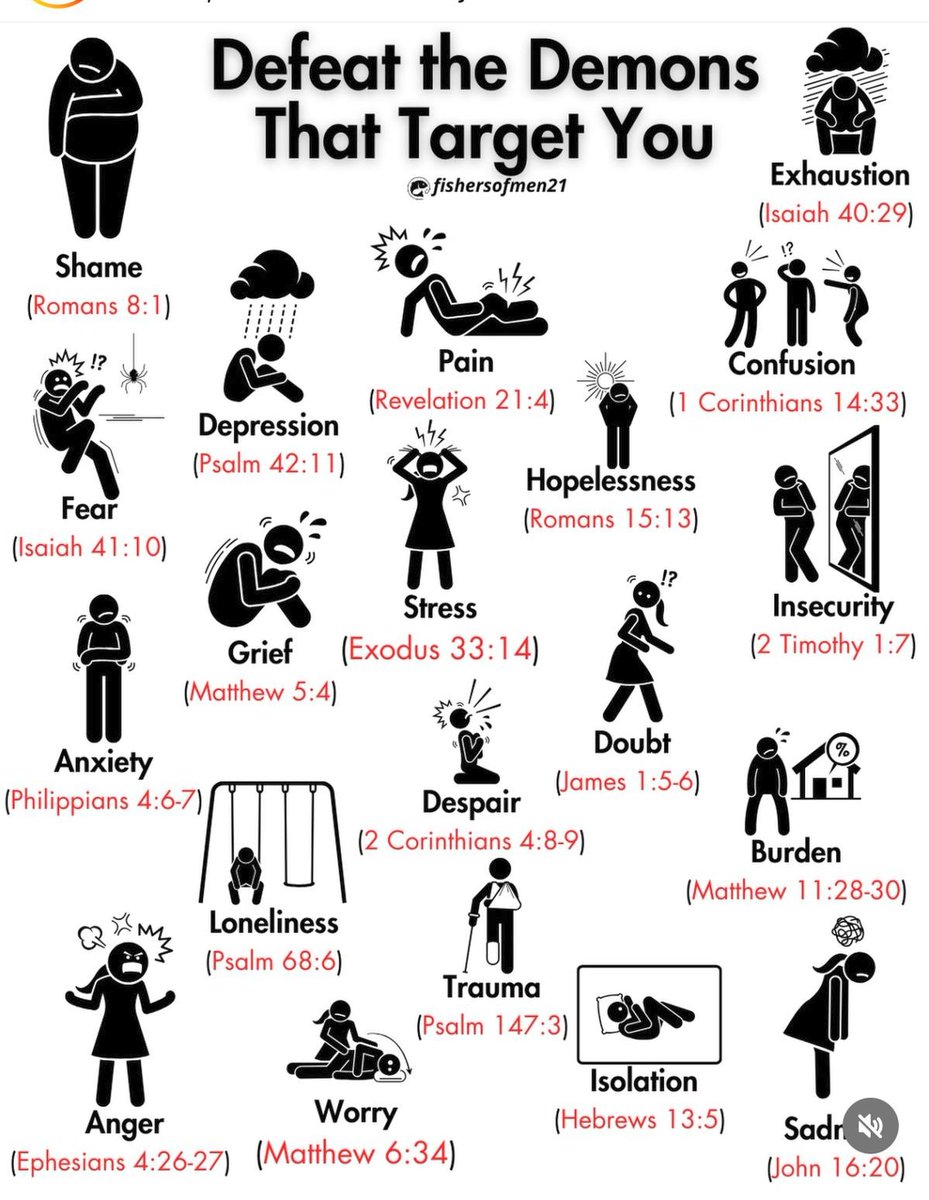 Life Pill 💊 tweet media