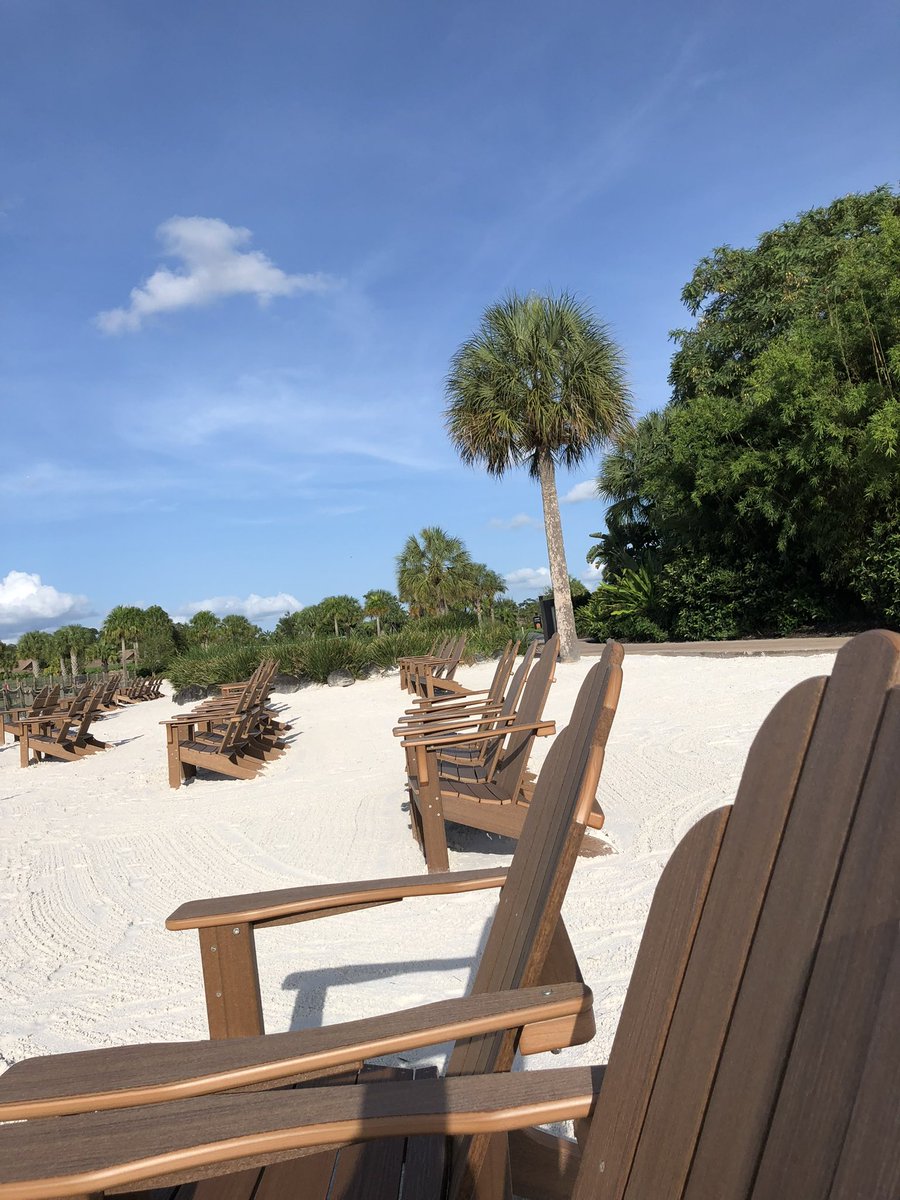 Denise T tweet media