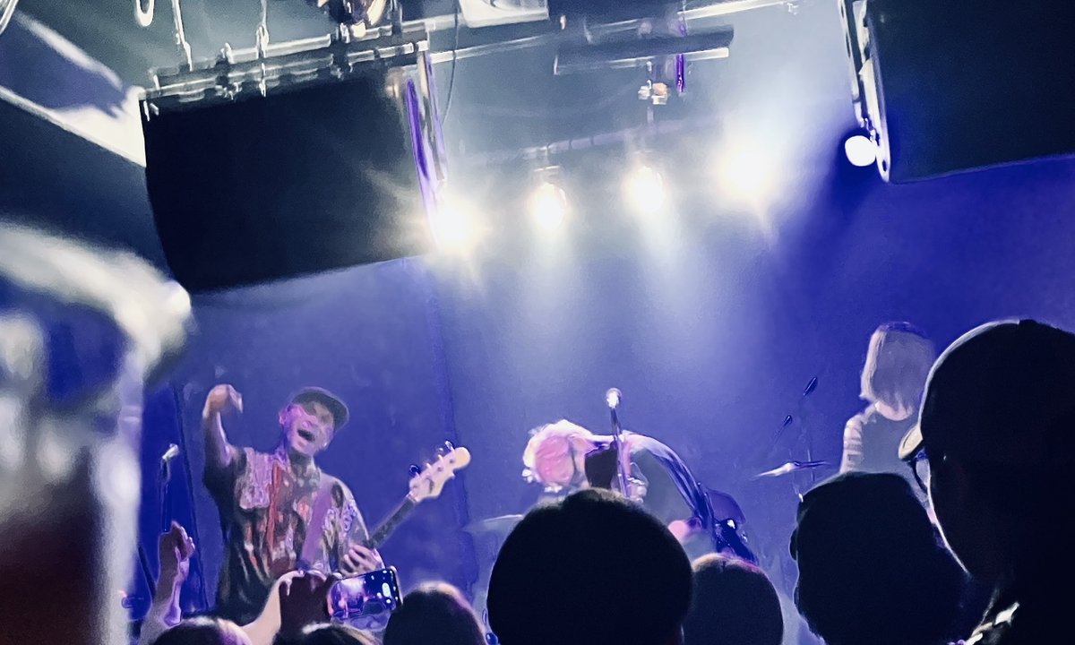 bear_common1978 tweet media