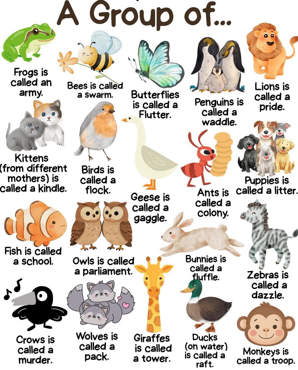 Caffeine & Chaos tweet media