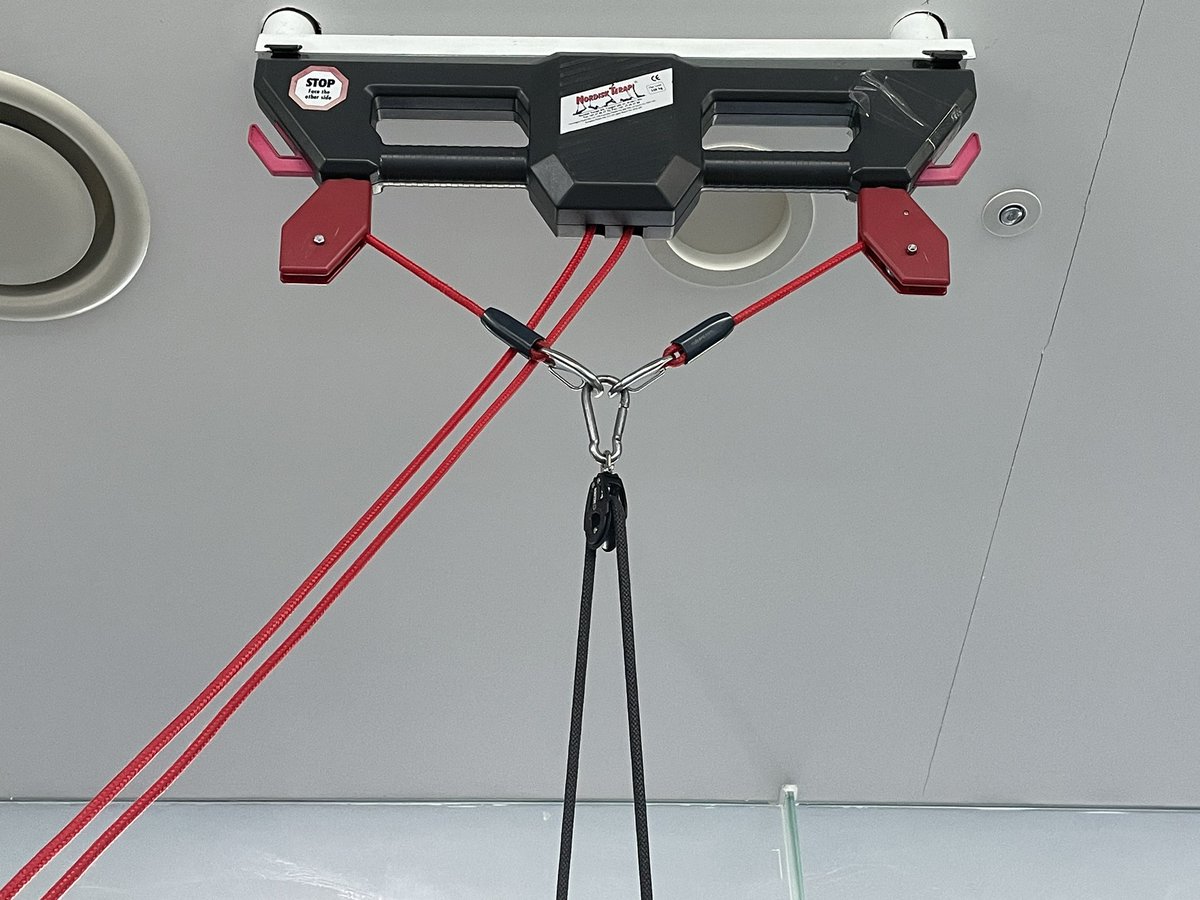 찔레꽃 tweet media