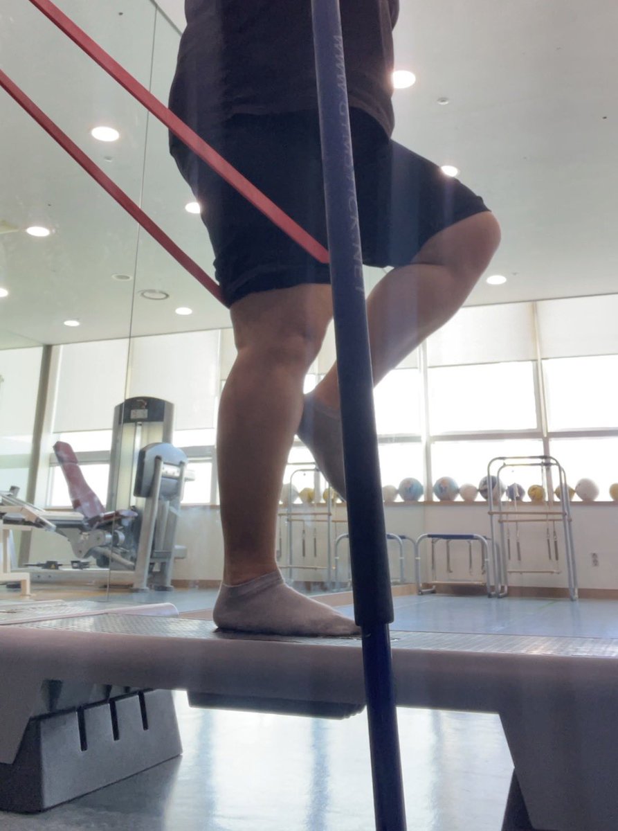 찔레꽃 tweet media