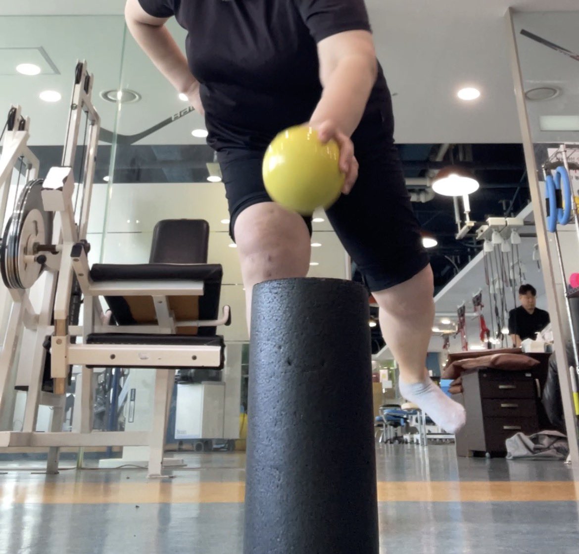 찔레꽃 tweet media