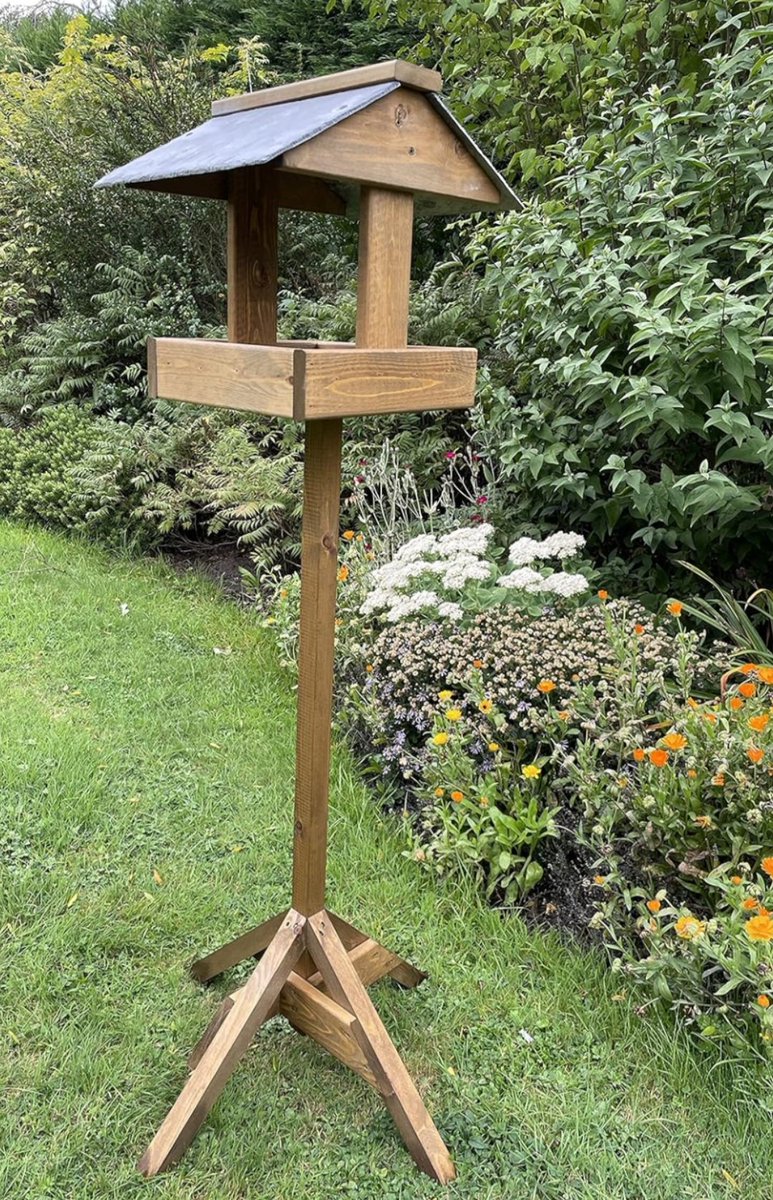 🦋 Amy 🦋 tweet media