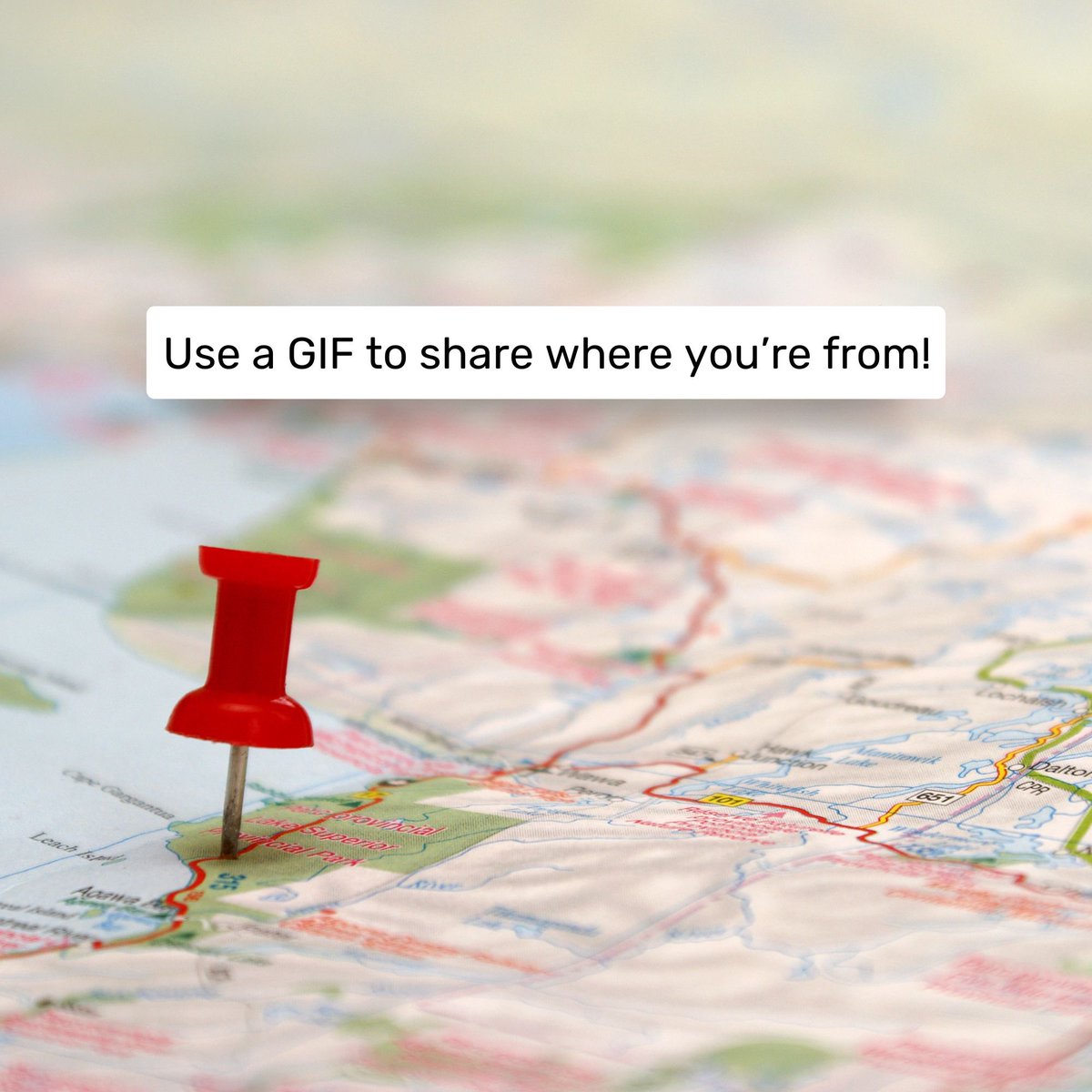 Ava Addams tweet media