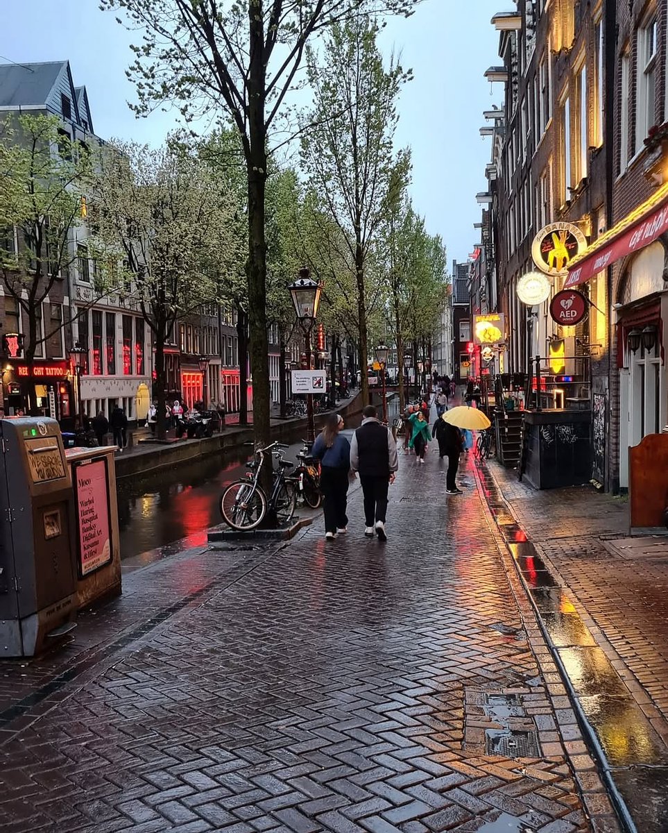 Beauty Explorer tweet media