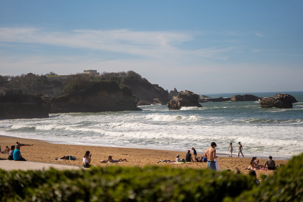 Raphael Barberi📷 tweet media