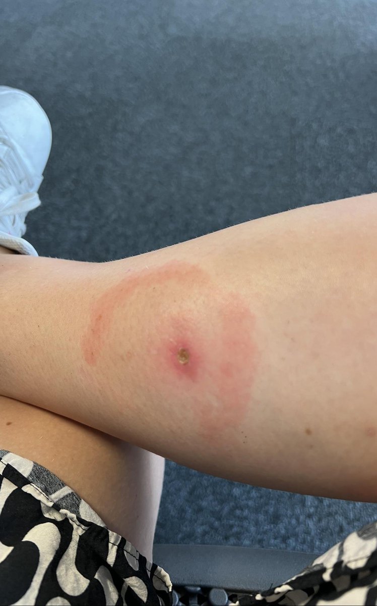 احمد tweet media