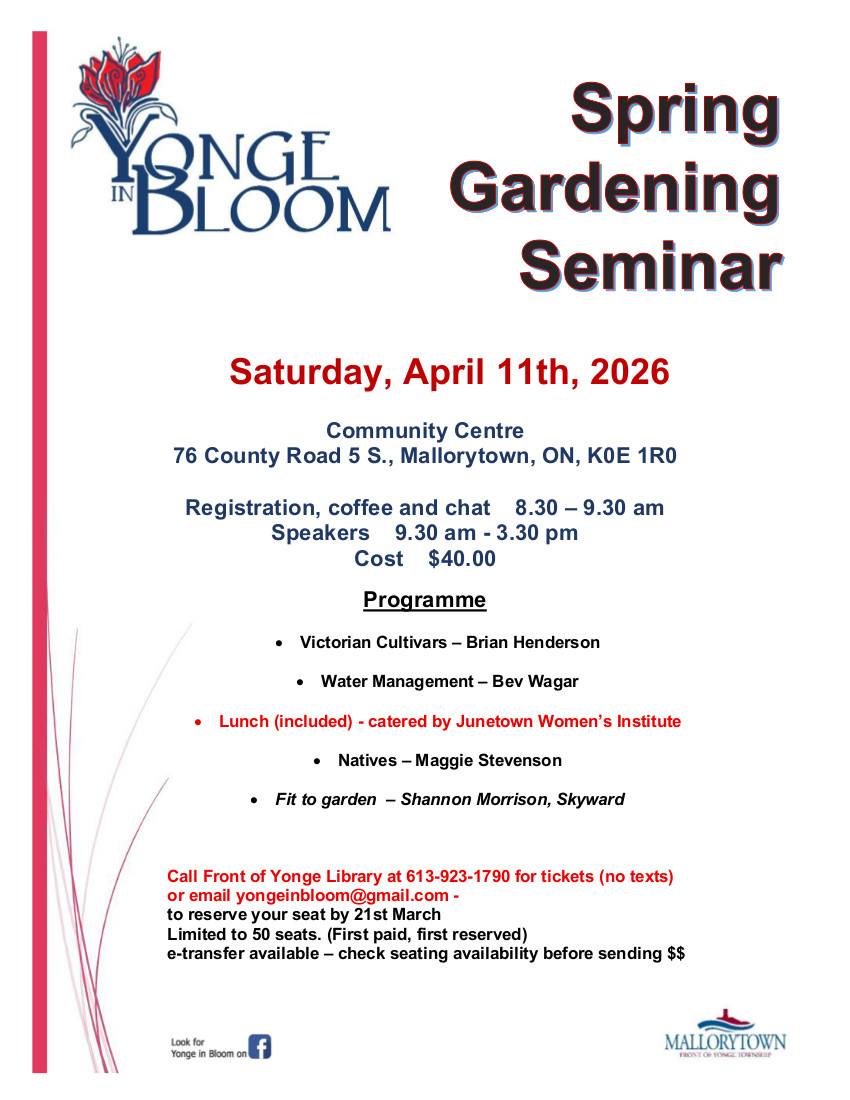 Front of Yonge (@frontyonge) on Twitter photo 