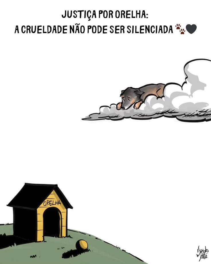 lola 🇮🇷 tweet media