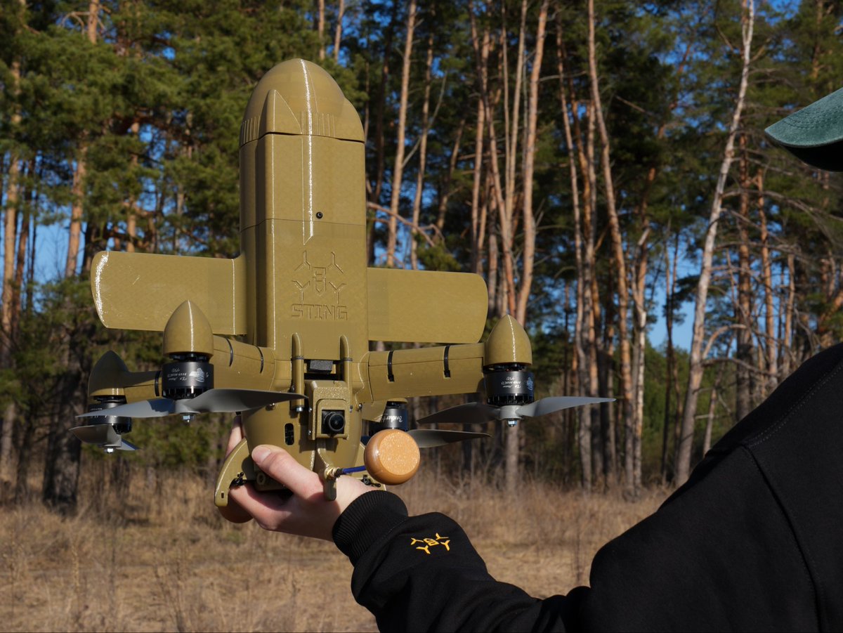 Wild Hornets tweet media