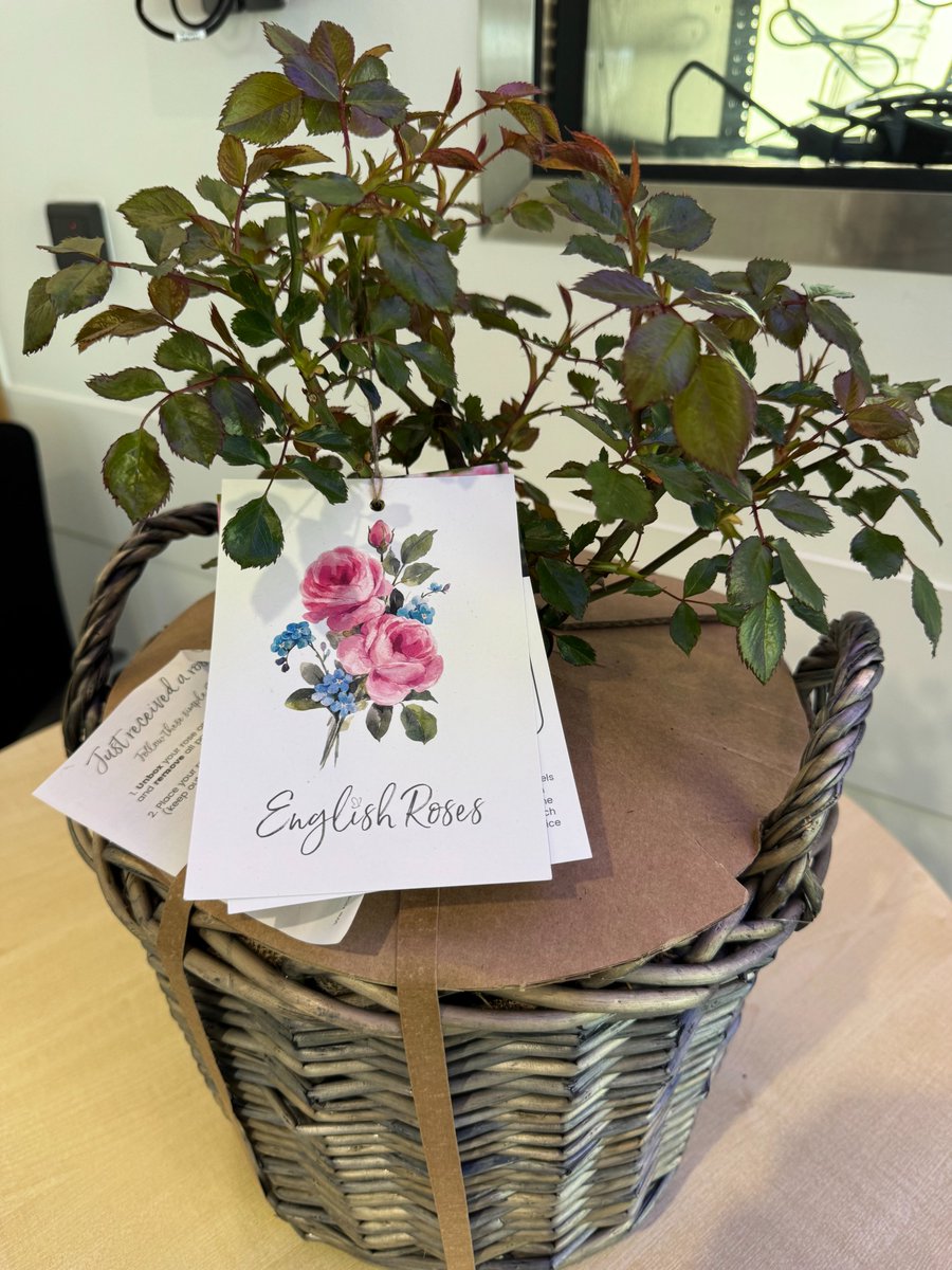 Suffolk CC tweet media