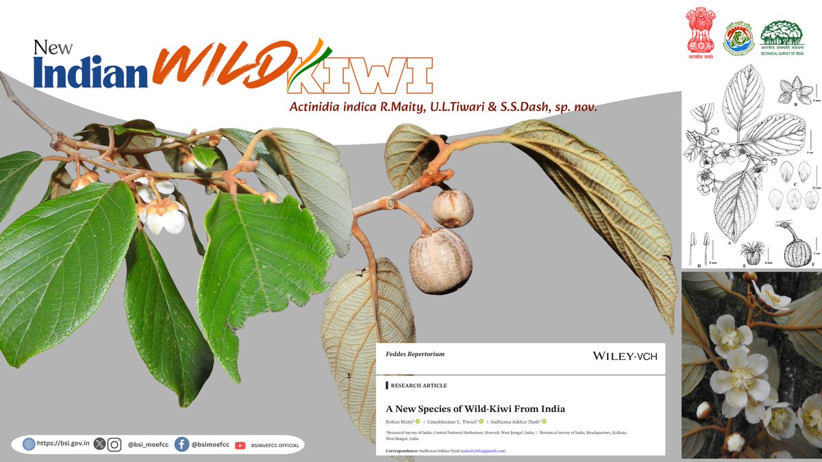 Botanical Survey of India tweet media