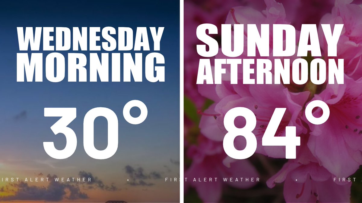 Andrew Dockery tweet media