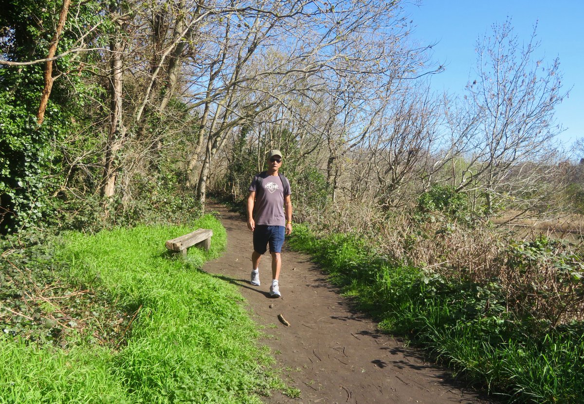 Abdel 🐝 🦋🦊 🐾 tweet media