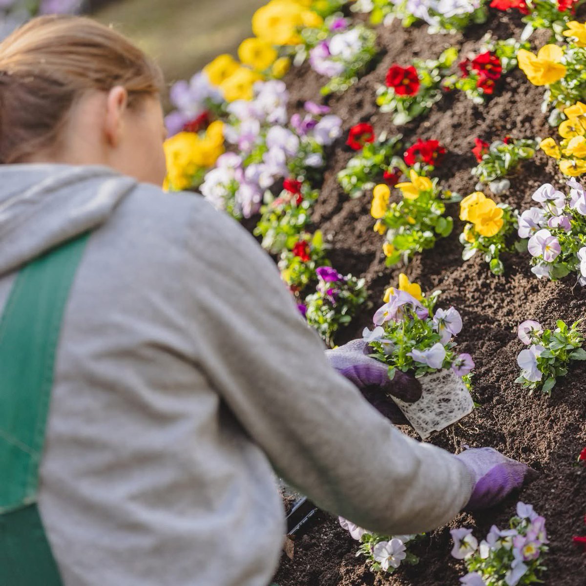 Aleksandra Dulkiewicz tweet media