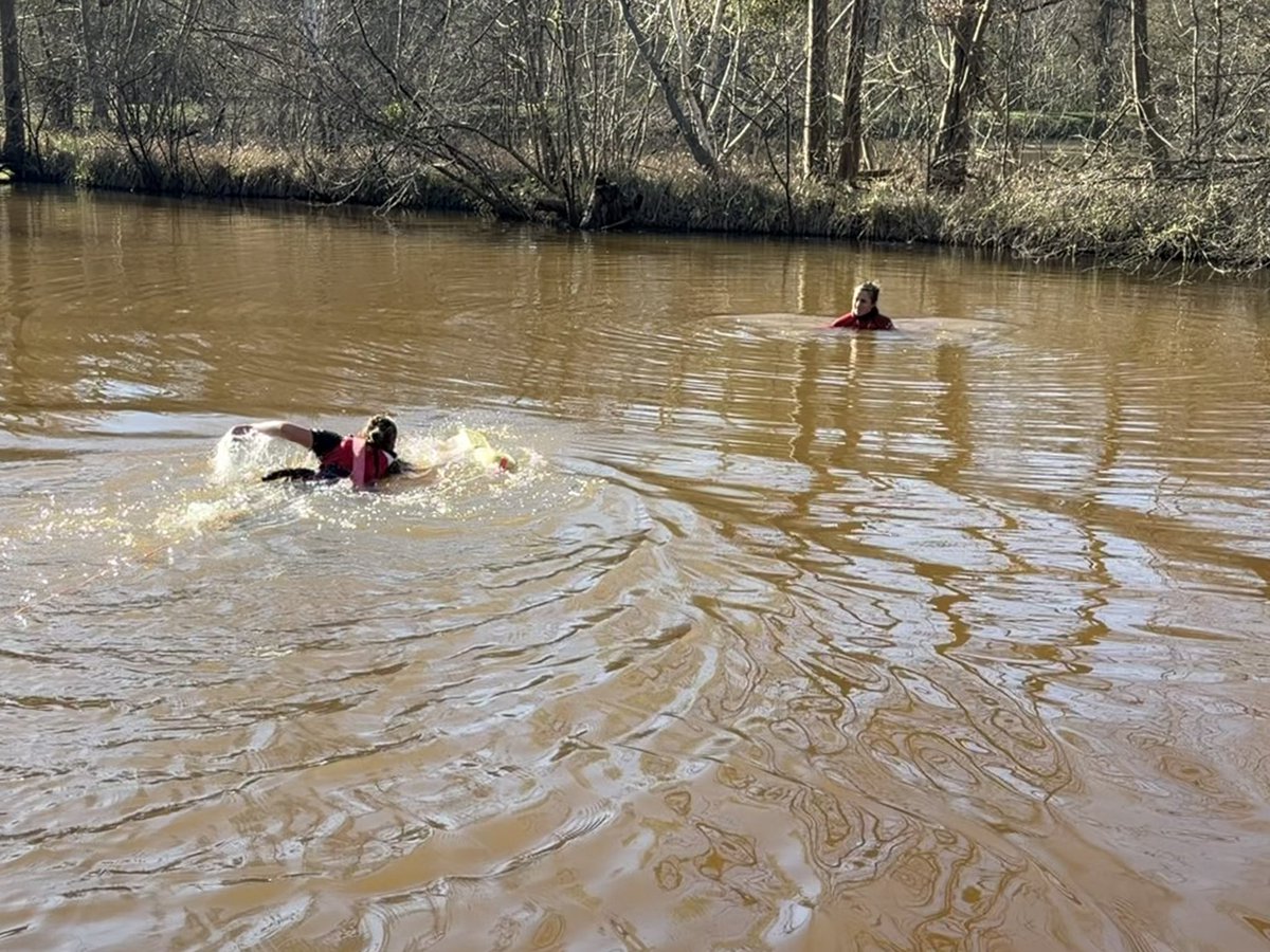 BÉPOIX Pierre tweet media