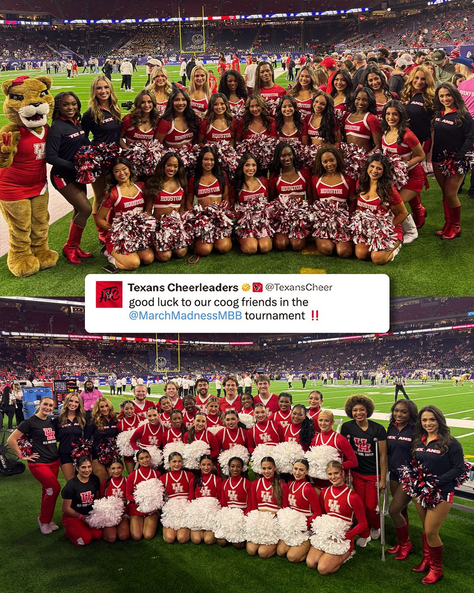 Texans Cheerleaders tweet media