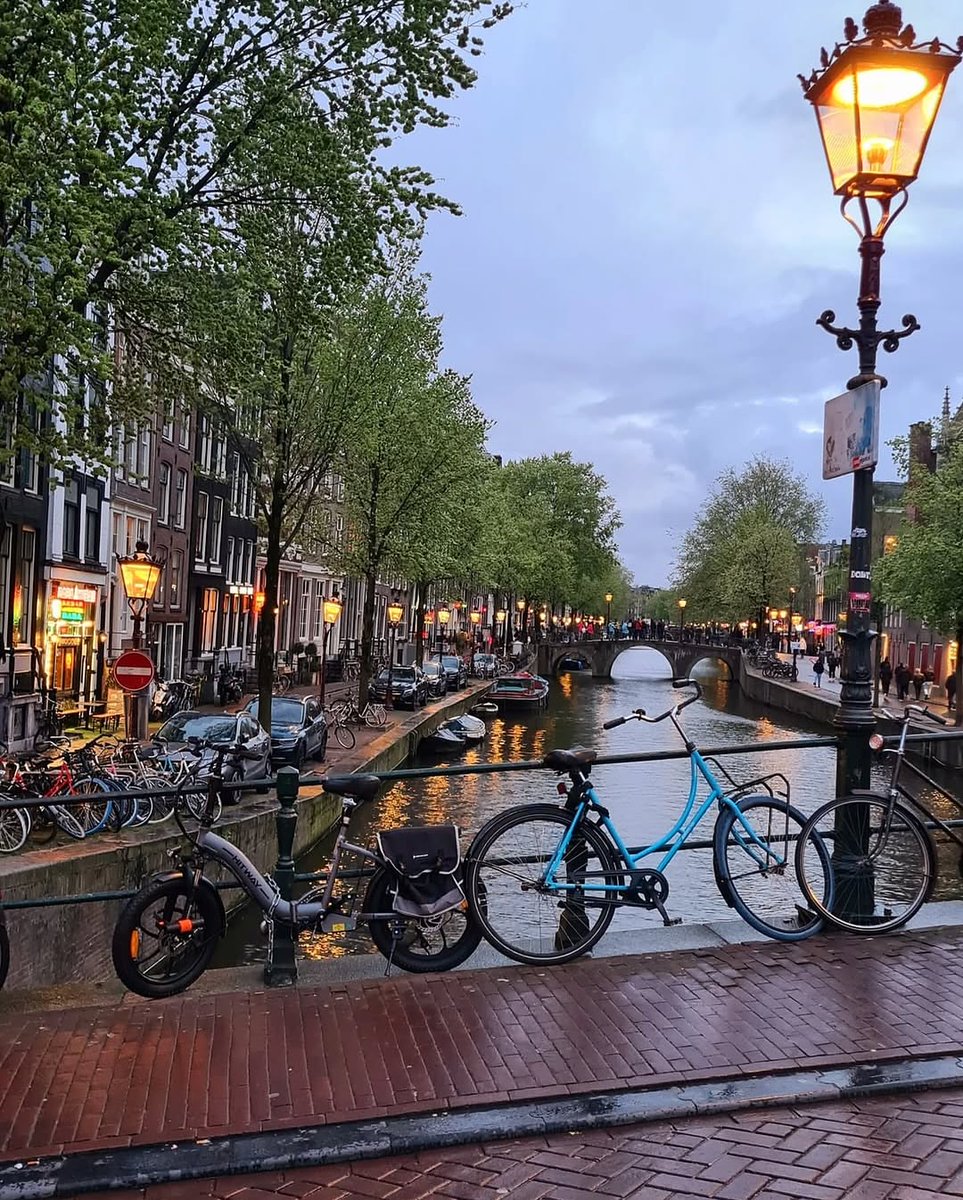 Beauty Explorer tweet media