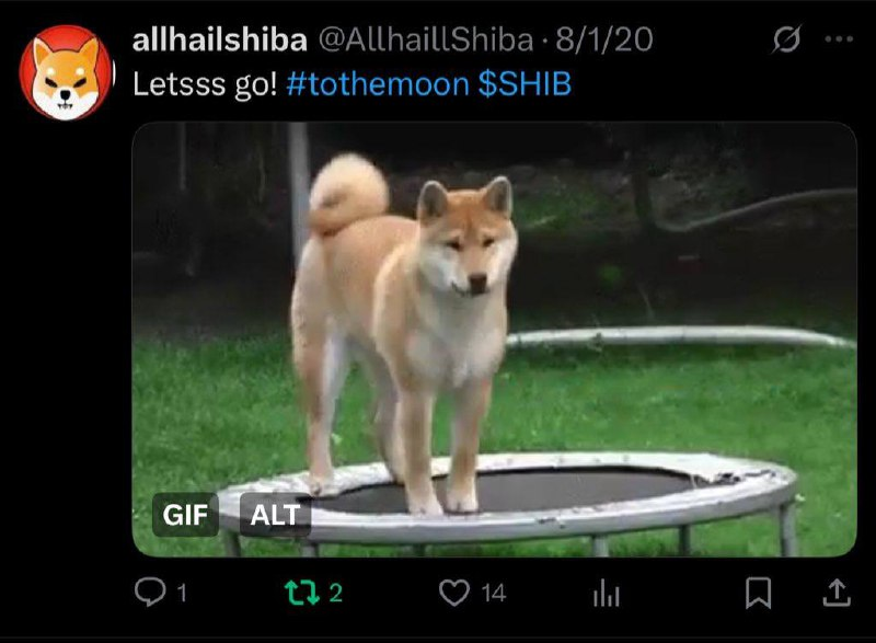 Oscar OG Shiba Inu tweet media