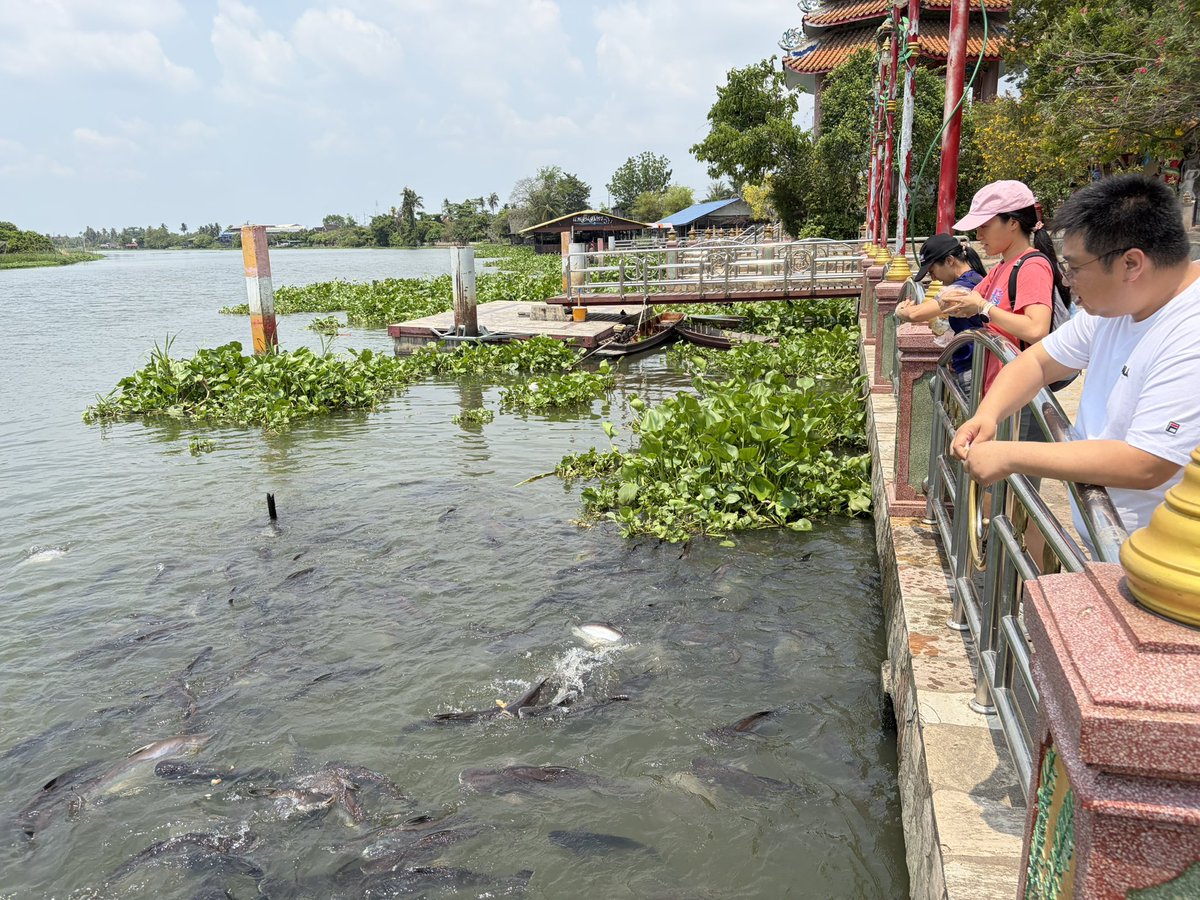 Champ, E21EIC tweet media