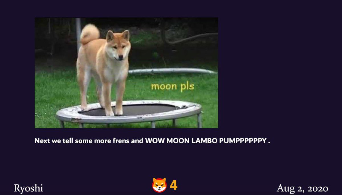Oscar OG Shiba Inu tweet media