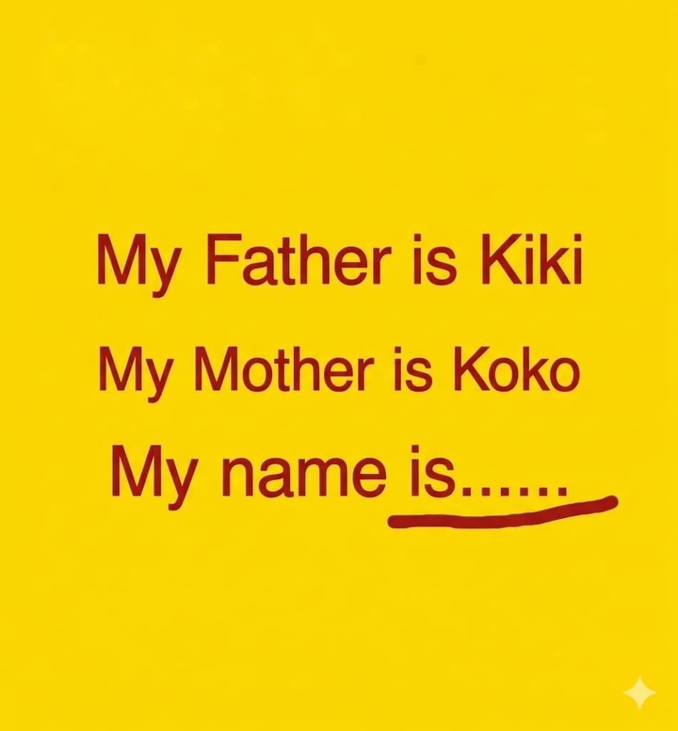 Aurora Elliott🇦🇺 tweet media