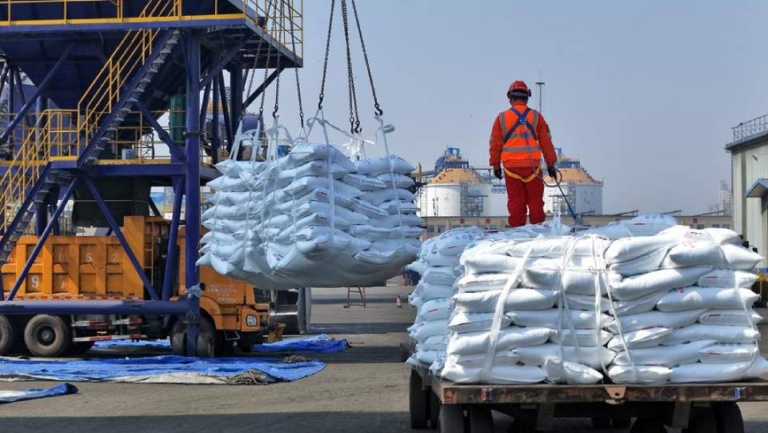 China pulse 🇨🇳 tweet media