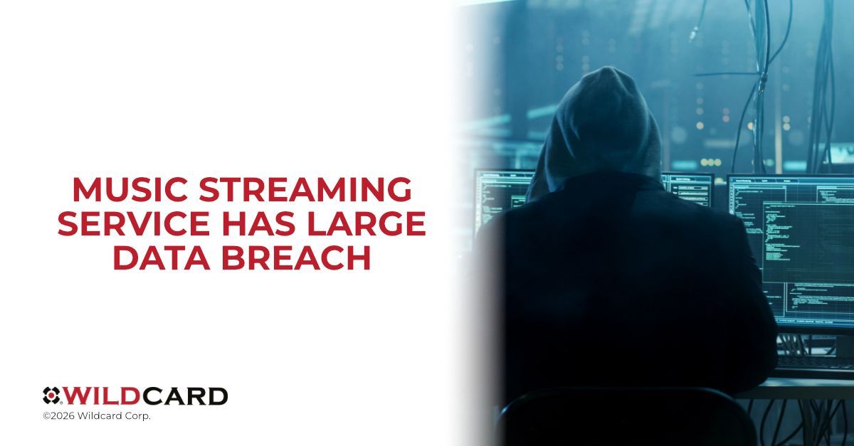 Wildcard Corp tweet media